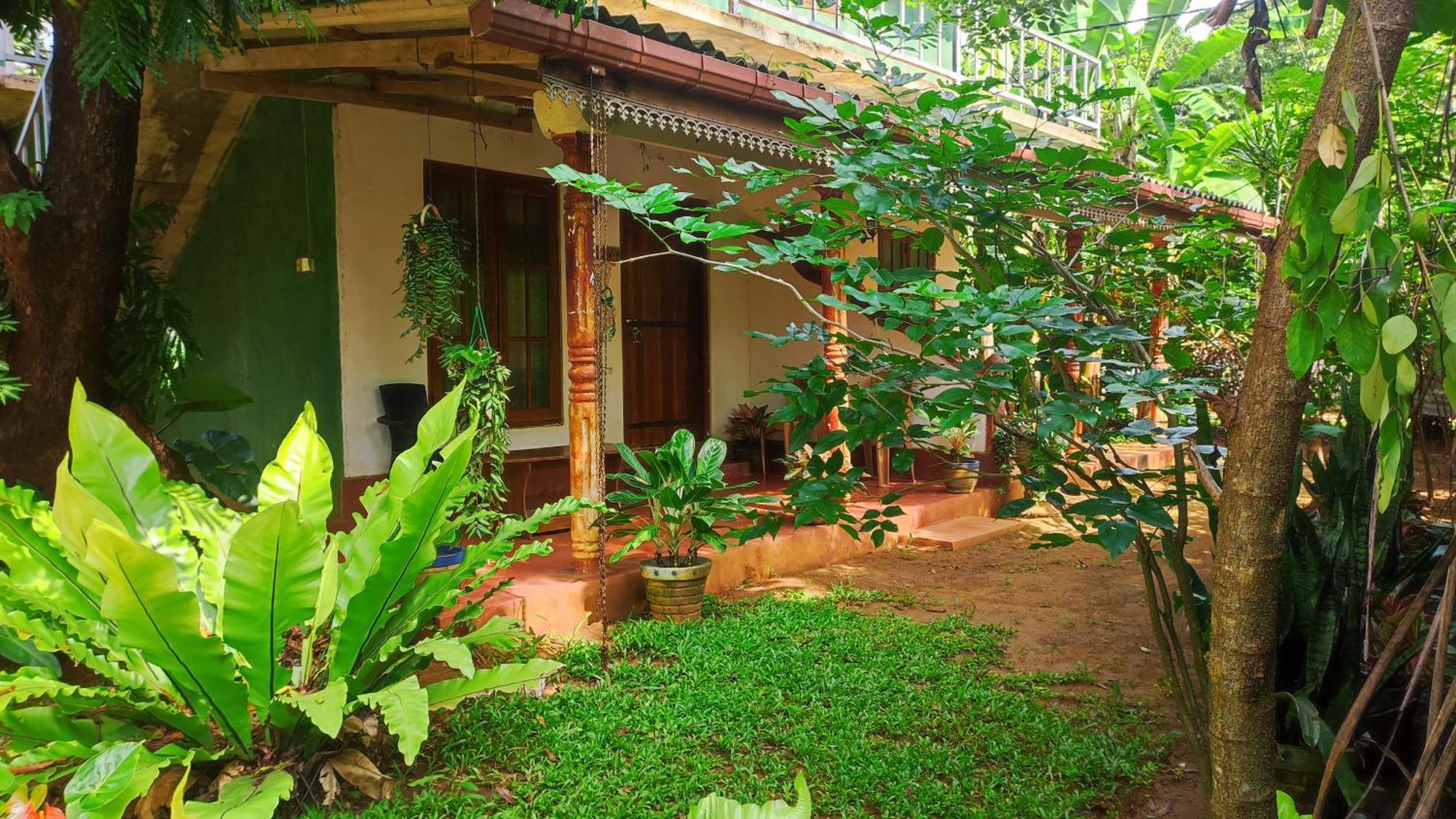 Jaana Guest Hotell Sigiriya Exteriör bild